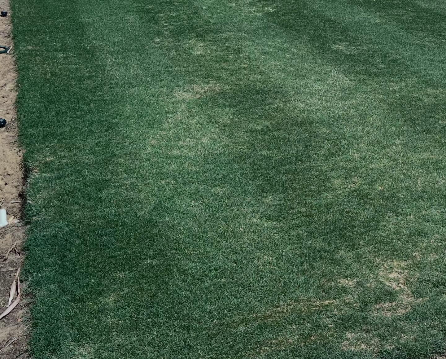 Lawn recovering after a health treatment program