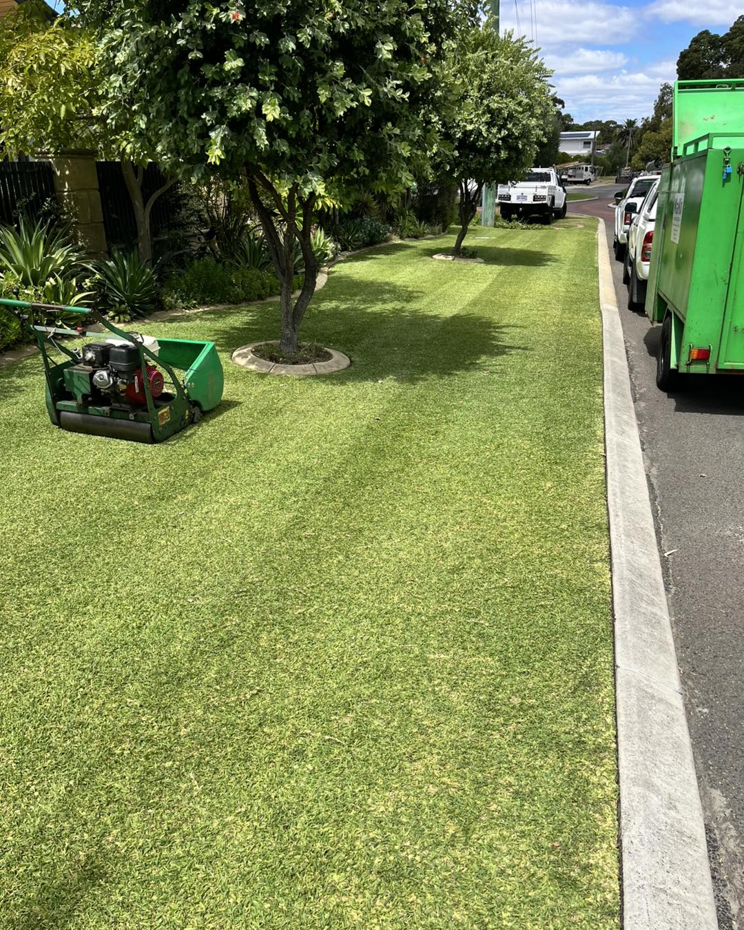 Freshly cylinder-mowed front lawn with striping