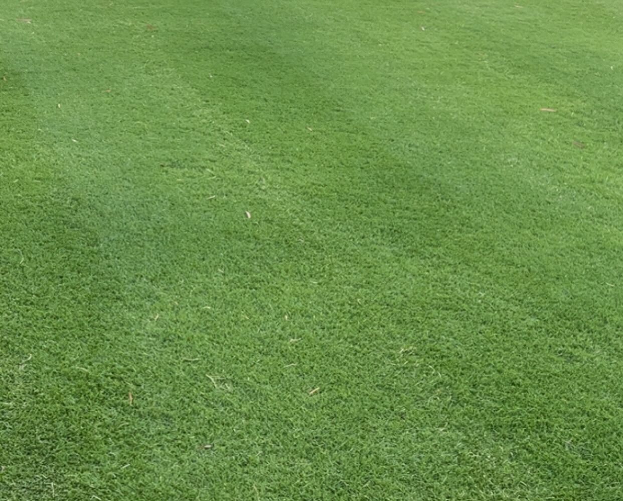 Weed Control