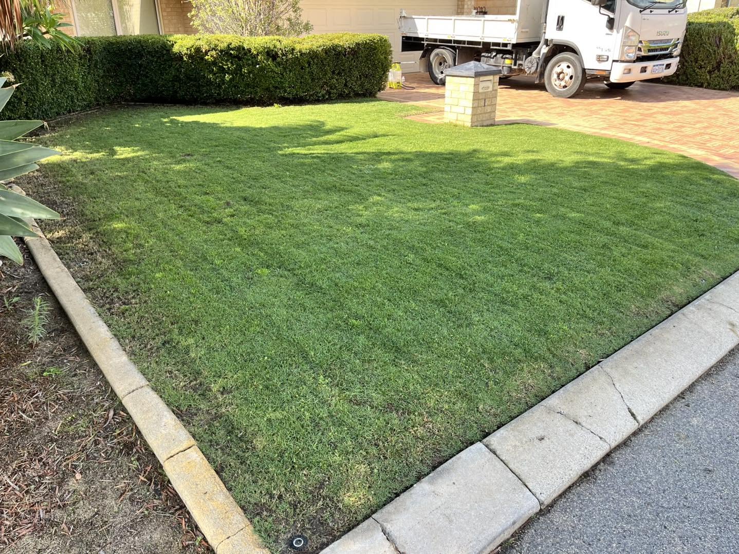 Shrub Pruning