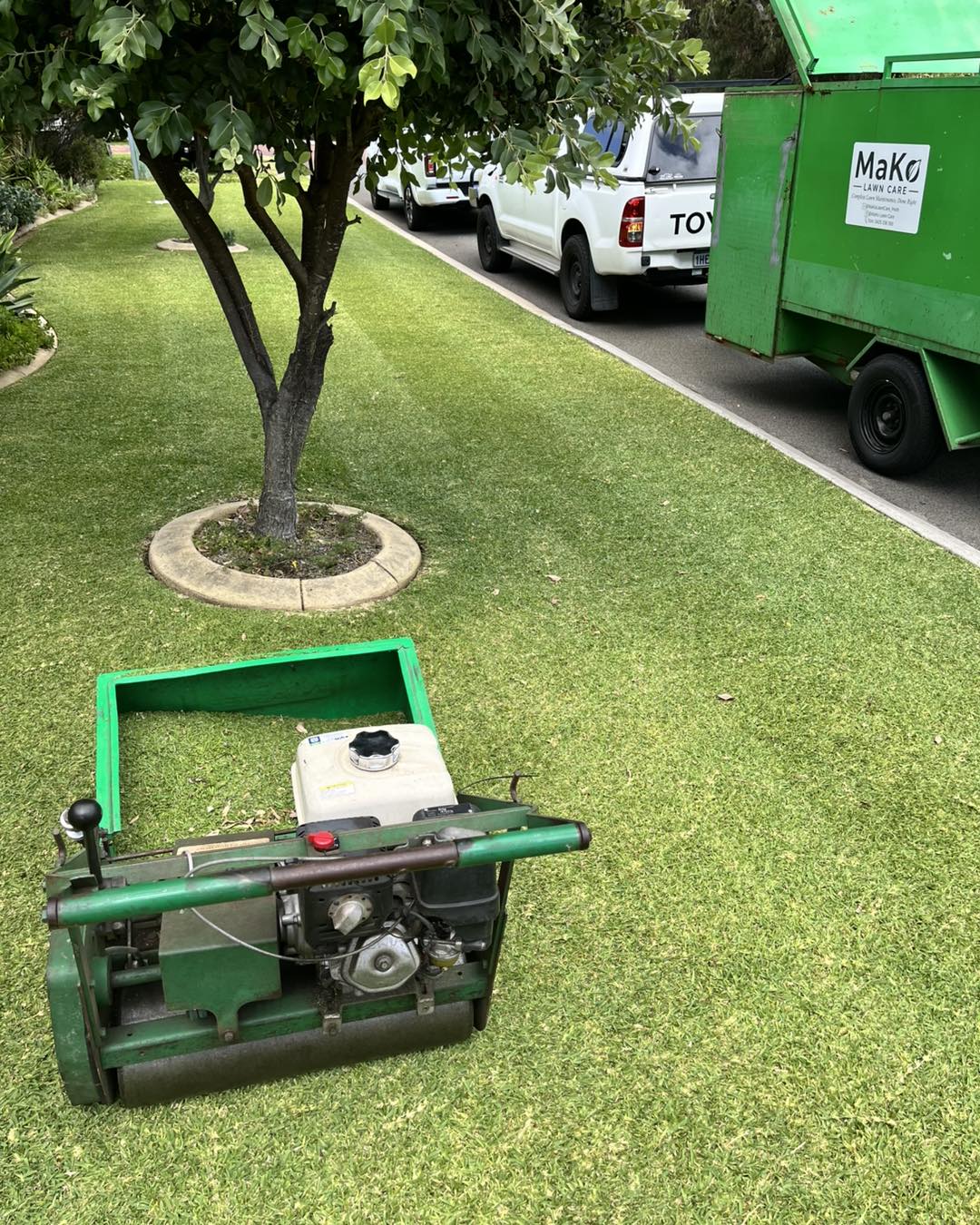 Garden Tidy-ups