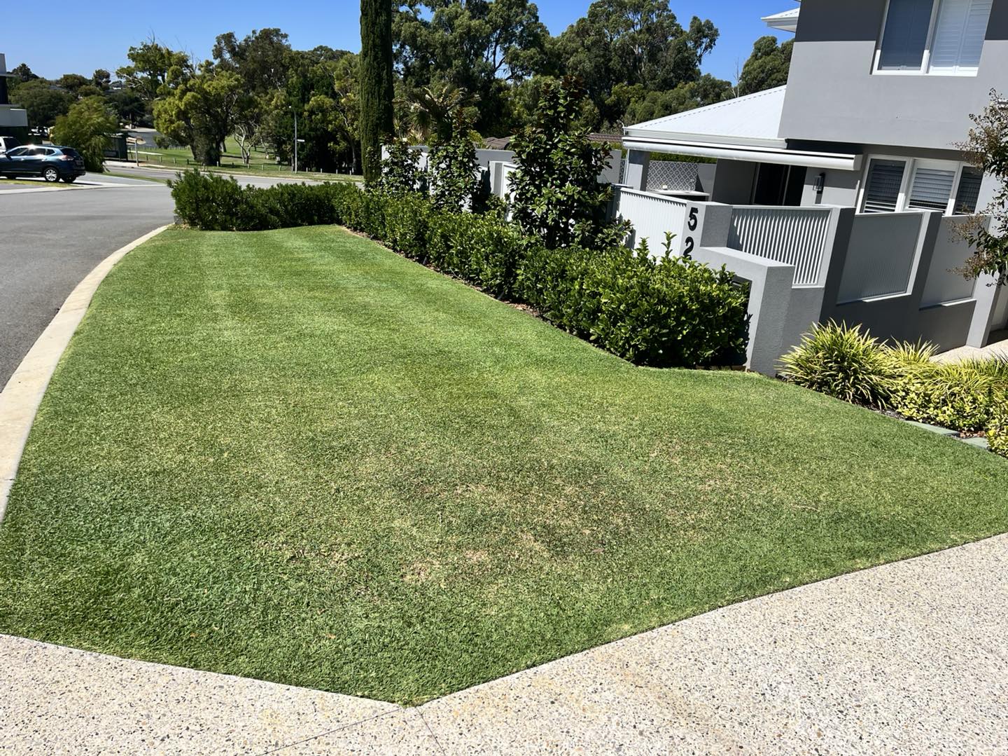 Healthy Western Australian residential lawn