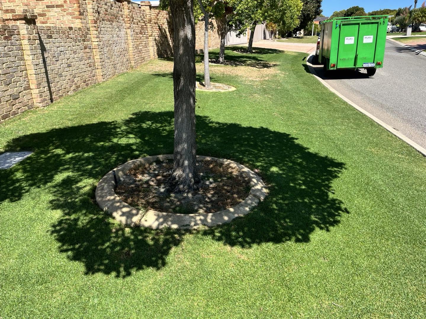 Neat lawn around a mature tree ring