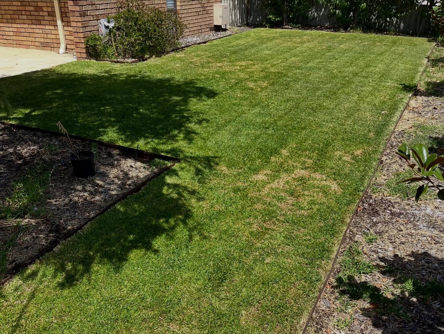 Pest Treatments